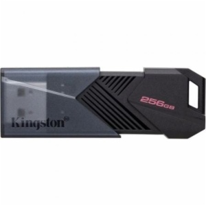 PENDRIVE KINGSTON DTXON/256GB